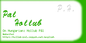 pal hollub business card